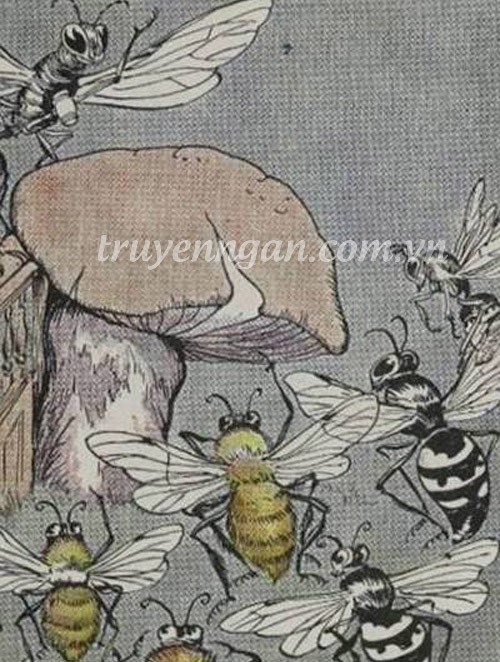 Ong mật, ong vằn và ong bắp cày